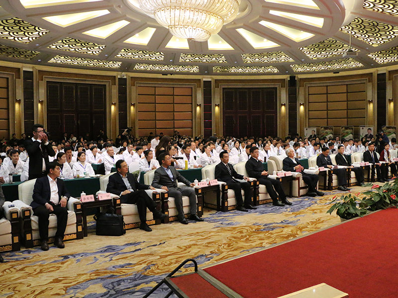 團(tuán)隊(duì)展示